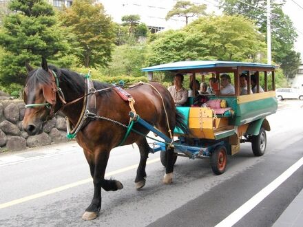 塩原温泉　丸屋旅館＜栃木県＞ 写真