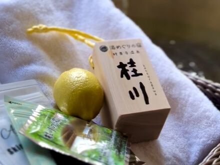 湯めぐりの宿 修善寺温泉 桂川 写真