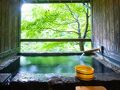 旅館白滝 写真