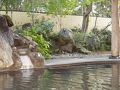 鳴子やすらぎ荘(船員保険保養所) 写真
