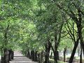 菊池温泉　栄屋旅館 写真