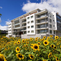 ニセコセントラル ヨウテイトラックス 写真