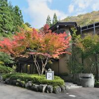 四万温泉 鹿覗キセキノ湯 つるや 写真