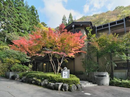 四万温泉 鹿覗キセキノ湯 つるや 写真