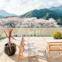 写真：楽天トラベル