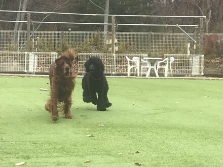 ペンションAMOUR 写真