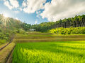 NIPPONIA 後川 天空農園 写真
