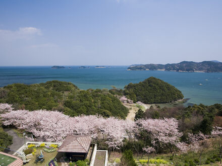 旅荘 海の蝶 写真