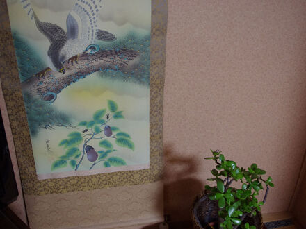 吉岡温泉　たから屋旅館 写真