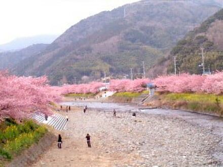 味の彩り主役は金目鯛　お宿　花の木 写真