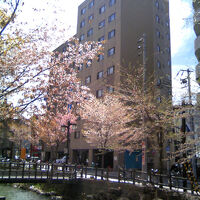 札幌オリエンタルホテル 写真