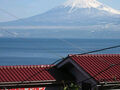 Marine&Mt.Fuji.View 写真