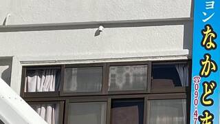 ペンション なかどまい