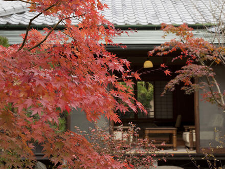 笹屋ホテル 写真