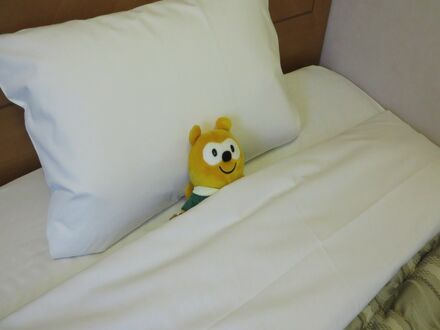 ホテルルートイン旭川駅前一条通 写真