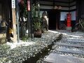かわら崎　湯元館 写真