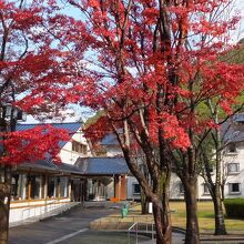 写真：楽天トラベル