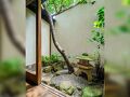 祇園 幸遊庵 写真