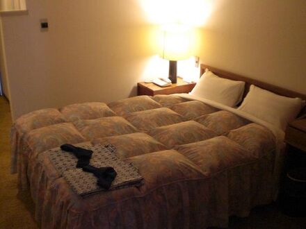 ホテルリブマックス豊岡 写真