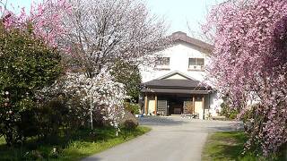 民宿 しんこう苑