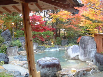 新穂高温泉　谷旅館 写真