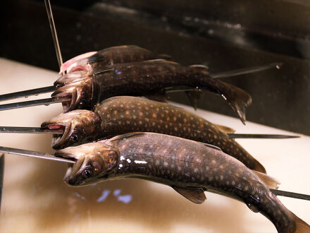 ２種類の天然温泉を1度に楽しめる宿 住吉館 写真