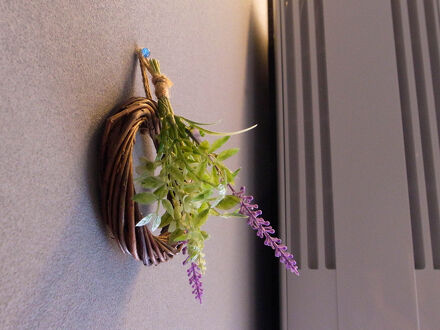 Little Birds Hostel 写真