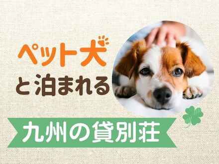貸別荘 古湯ウッディハウスE 写真