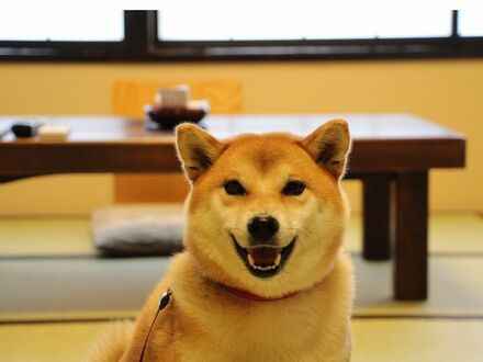 丸山温泉 ホテル古城館 写真