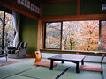 源泉の宿　千條旅館 写真