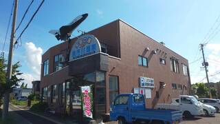 ドミトリーよいち川