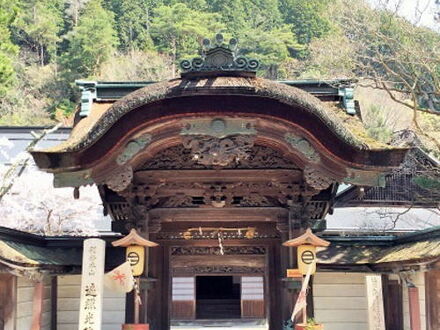 遍照光院 写真