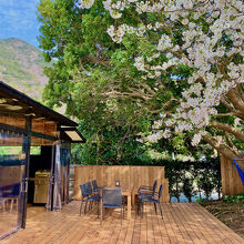 写真：楽天トラベル