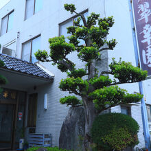 写真：楽天トラベル