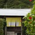 伝泊 海と星みる宿 写真