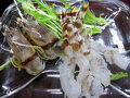料理旅館　丸寅 写真