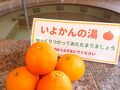 ウェルピア伊予 写真