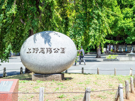 ホテル観月荘　上野 写真