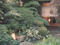 柏屋旅館＜群馬県藤岡市＞ 写真