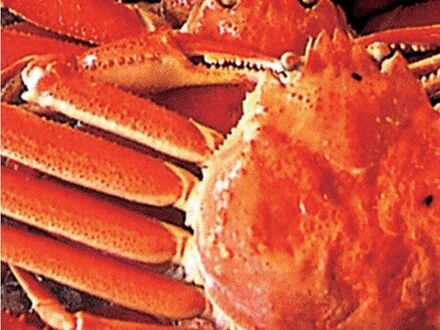 旅館民宿 加茂屋 写真