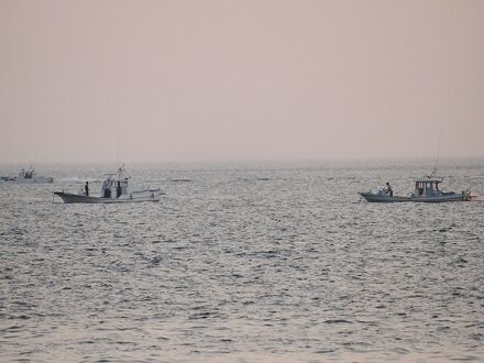 日間賀島　民宿琴栄 写真