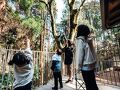 金峰山自然の家 ヤマガラビレッジ 写真