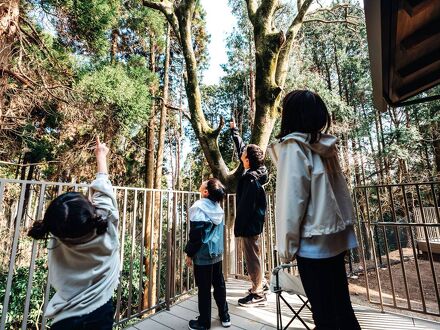 金峰山自然の家 ヤマガラビレッジ 写真