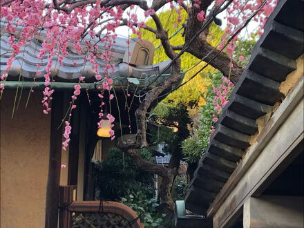 ゲストハウス奈良バックパッカーズ 写真