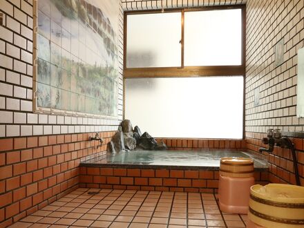 尾瀬戸倉温泉　旅の宿山びこ 写真