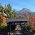 由布院温泉 野蒜山荘 写真