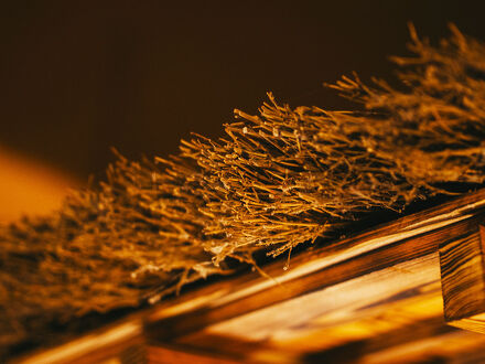 黒川温泉 黒川荘 写真