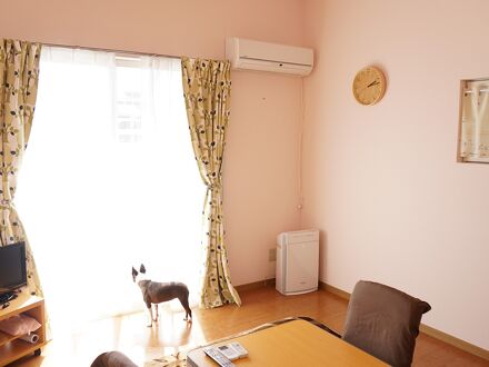 ペットと泊まれるプチホテル　エミー・ルミエール 写真