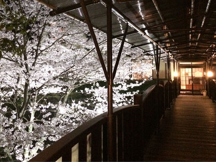 温泉や　神代の湯 写真