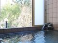 天然温泉旅館 くつろぎのお宿 金井 写真